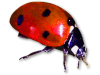 Captcha image 6469